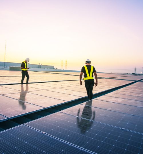 navigating-the-complexities-of-utility-scale-solar-projects-379969924-600x600